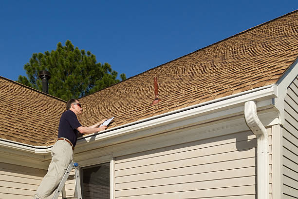 Best Roof Moss and Algae Removal  in Wallace, NC