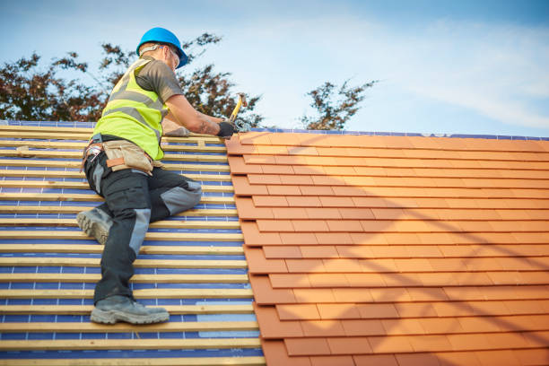 Best Metal Roofing Installation  in Wallace, NC